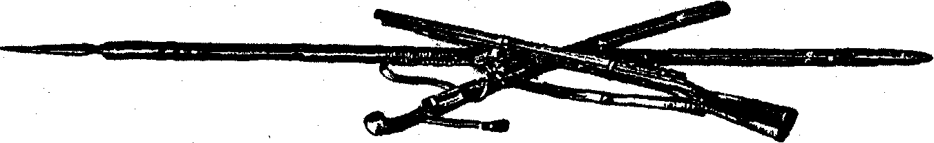 0x01 graphic